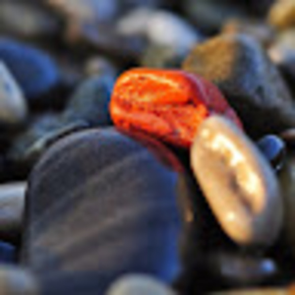 Meet your Posher, Angela - Picture 1 of 1